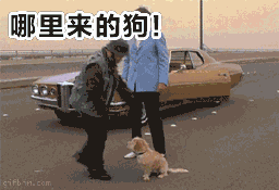 一脚把狗从桥上踢飞动态表情包v1.0免费下载