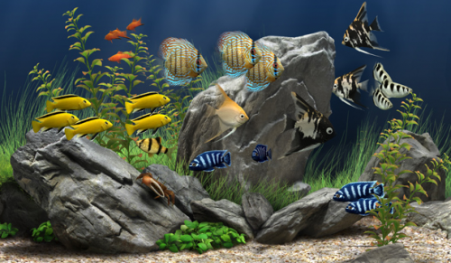 Dream Aquarium v1.0.70 官方版