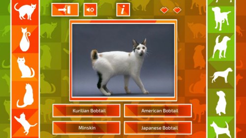 JQ:狗和猫 官方简体中文免安装版