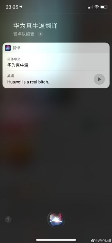 苹果Siri惊现侮辱性翻译